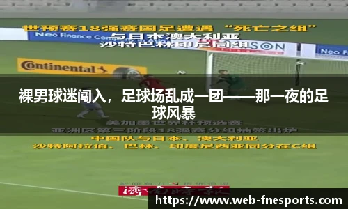 蜂鸟电竞官方网站
