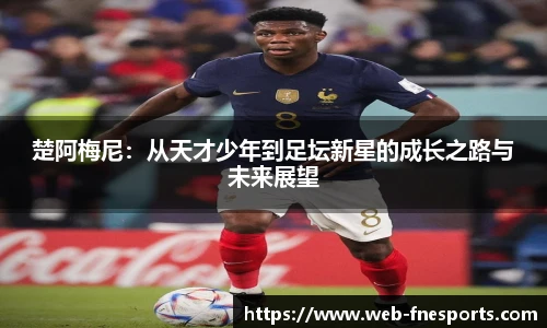 蜂鸟电竞官方网站